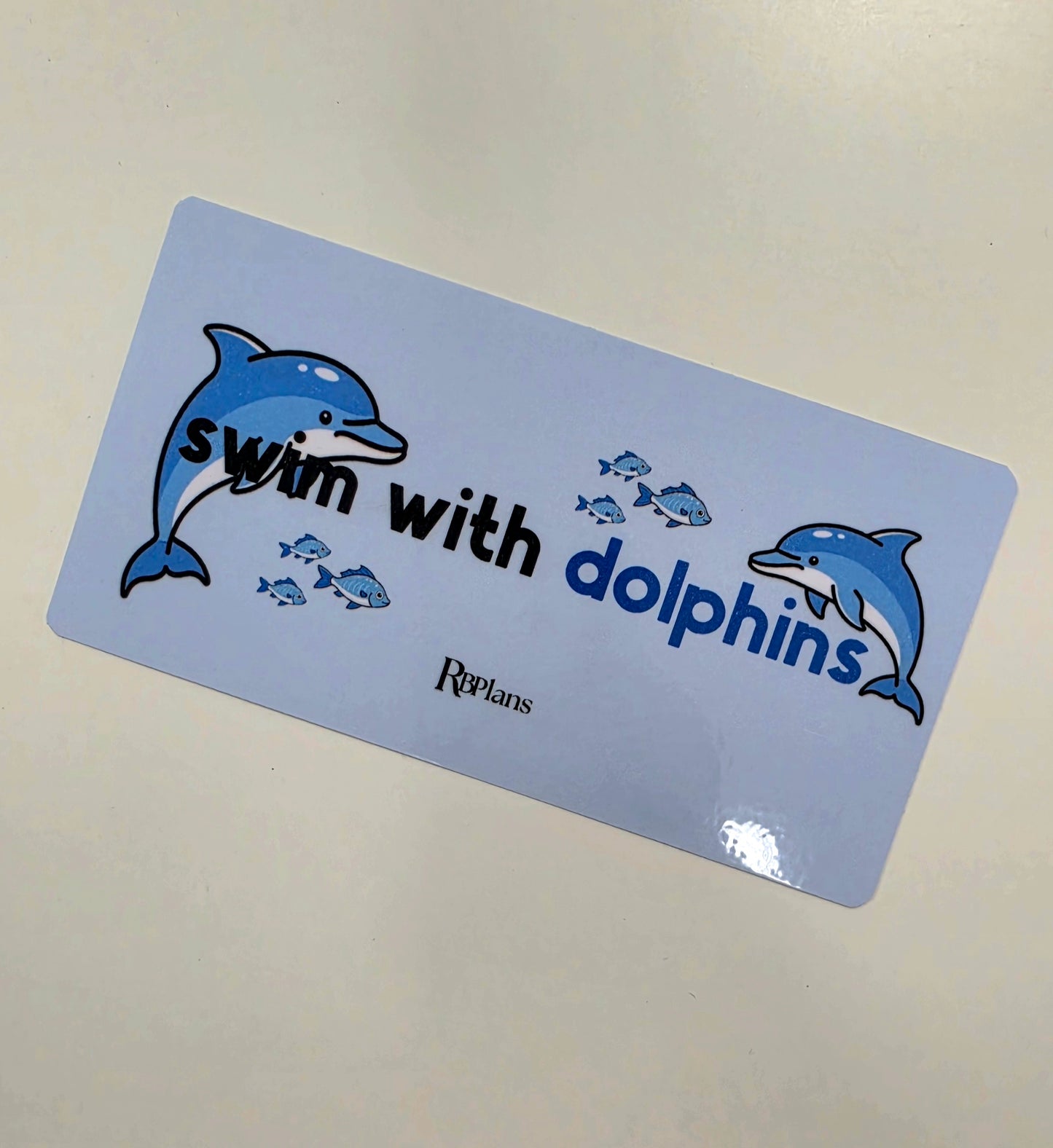 Swim With Dolphins