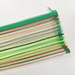 Green Rainbow Pencil Case