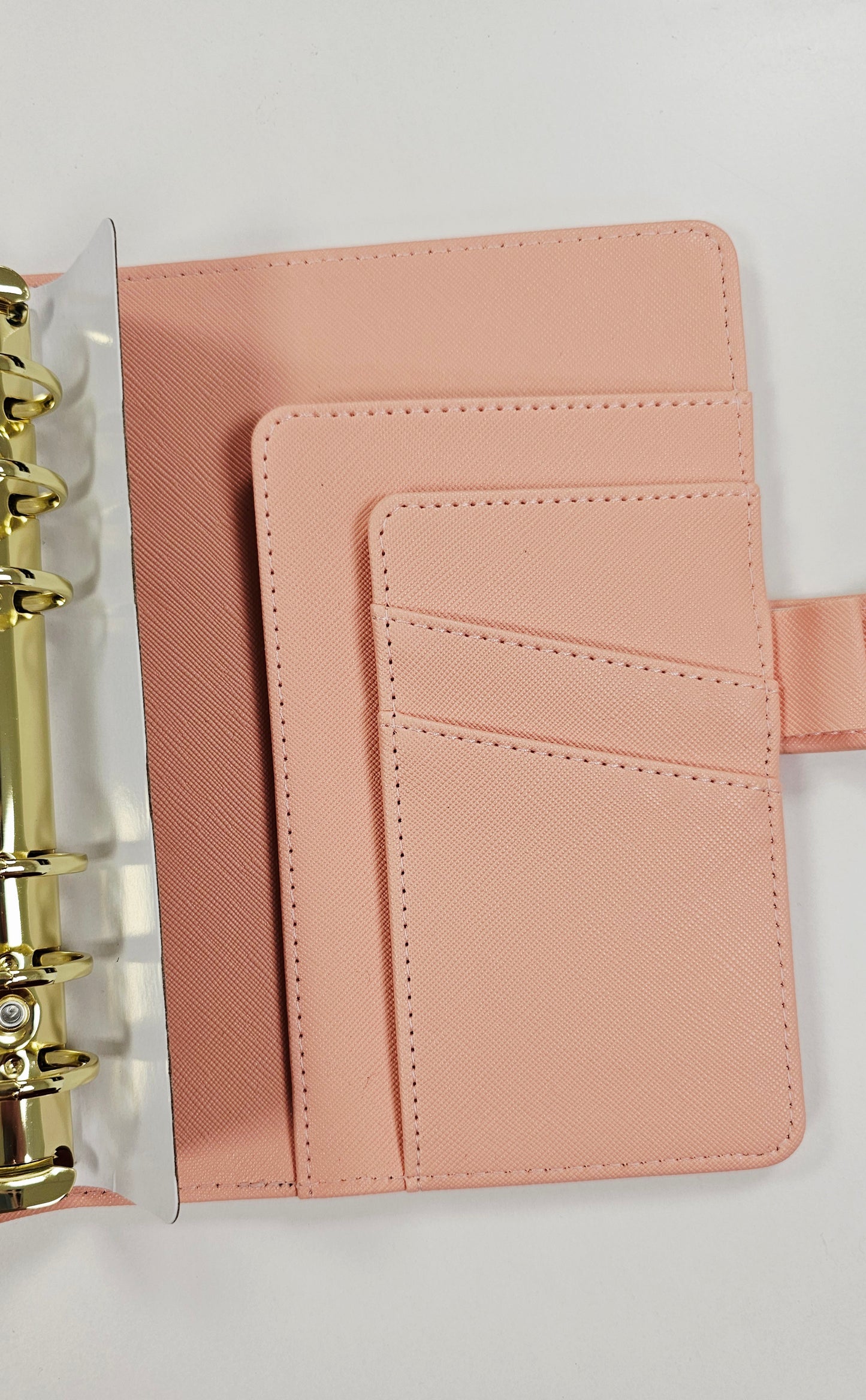 Apricot "Lena" Etch Budget Binder