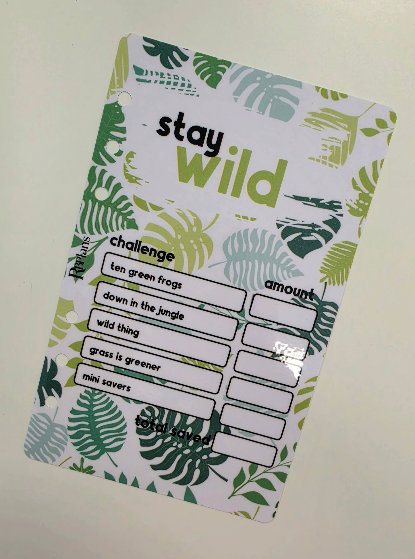 Stay Wild Challenge Dashboard A6