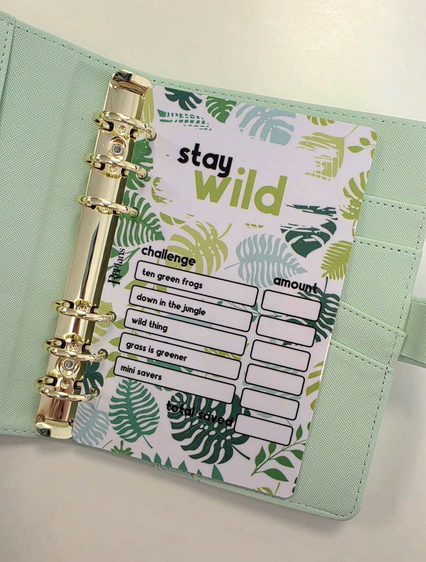Stay Wild Challenge Dashboard A6