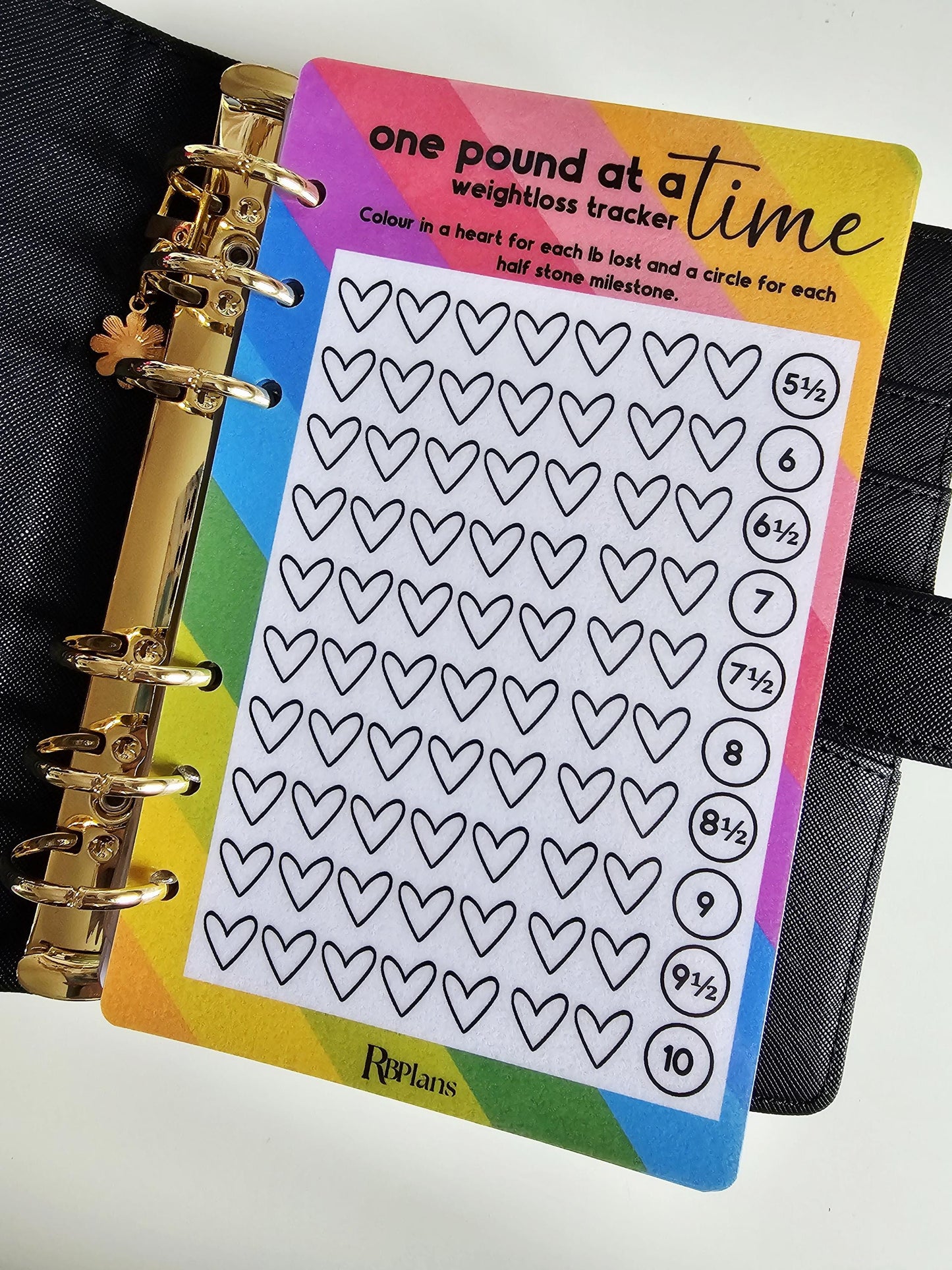 Weightloss Tracker 5-10 Stone Dashboard A6