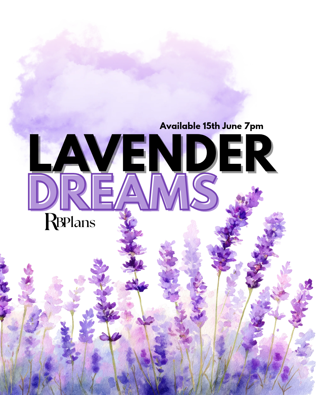 Lavender Dreams | Monthly Collection